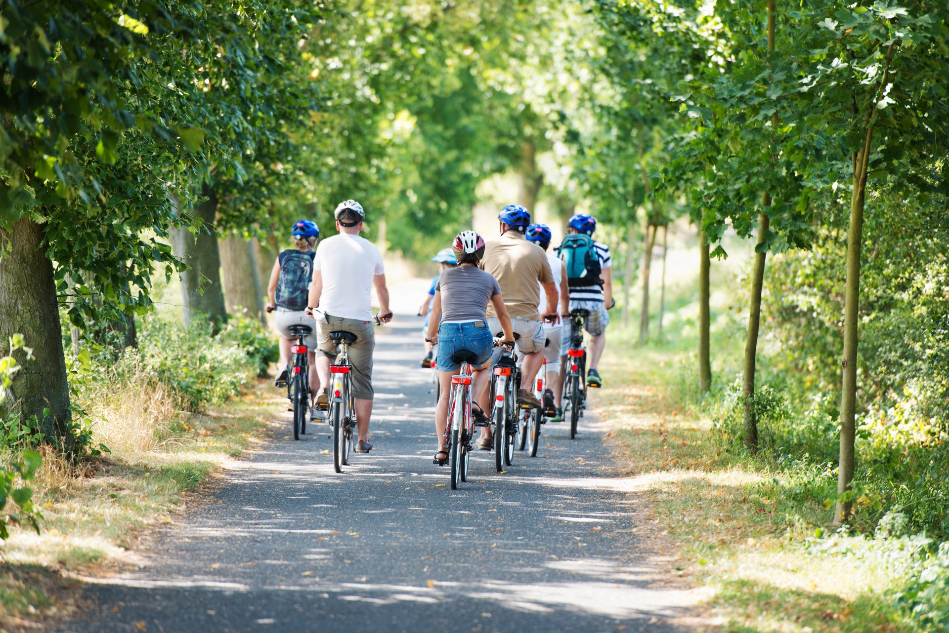 Fahrradgruppe von hinten fährt durch eine Baumallee