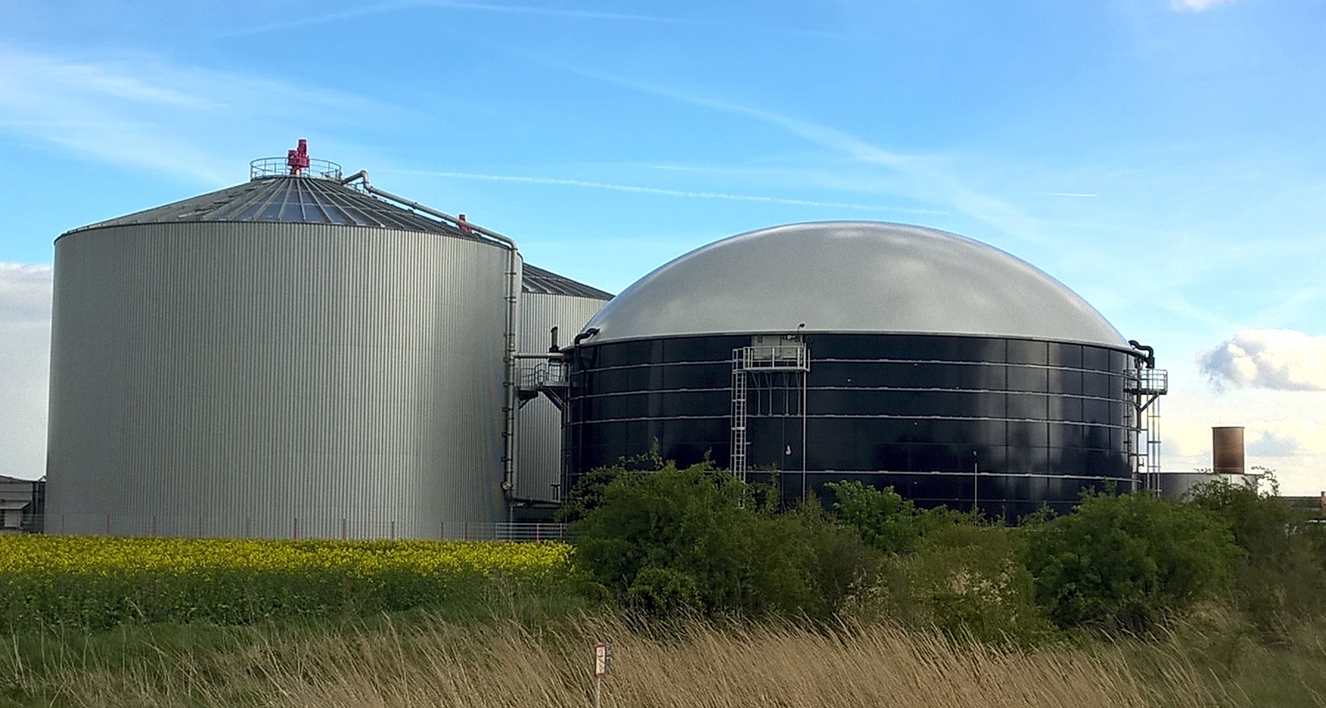 Biogasanalge im Feld